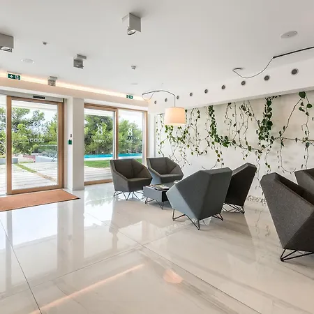 Luxury Apartment Bel Etage With Swimming Pool Apartment